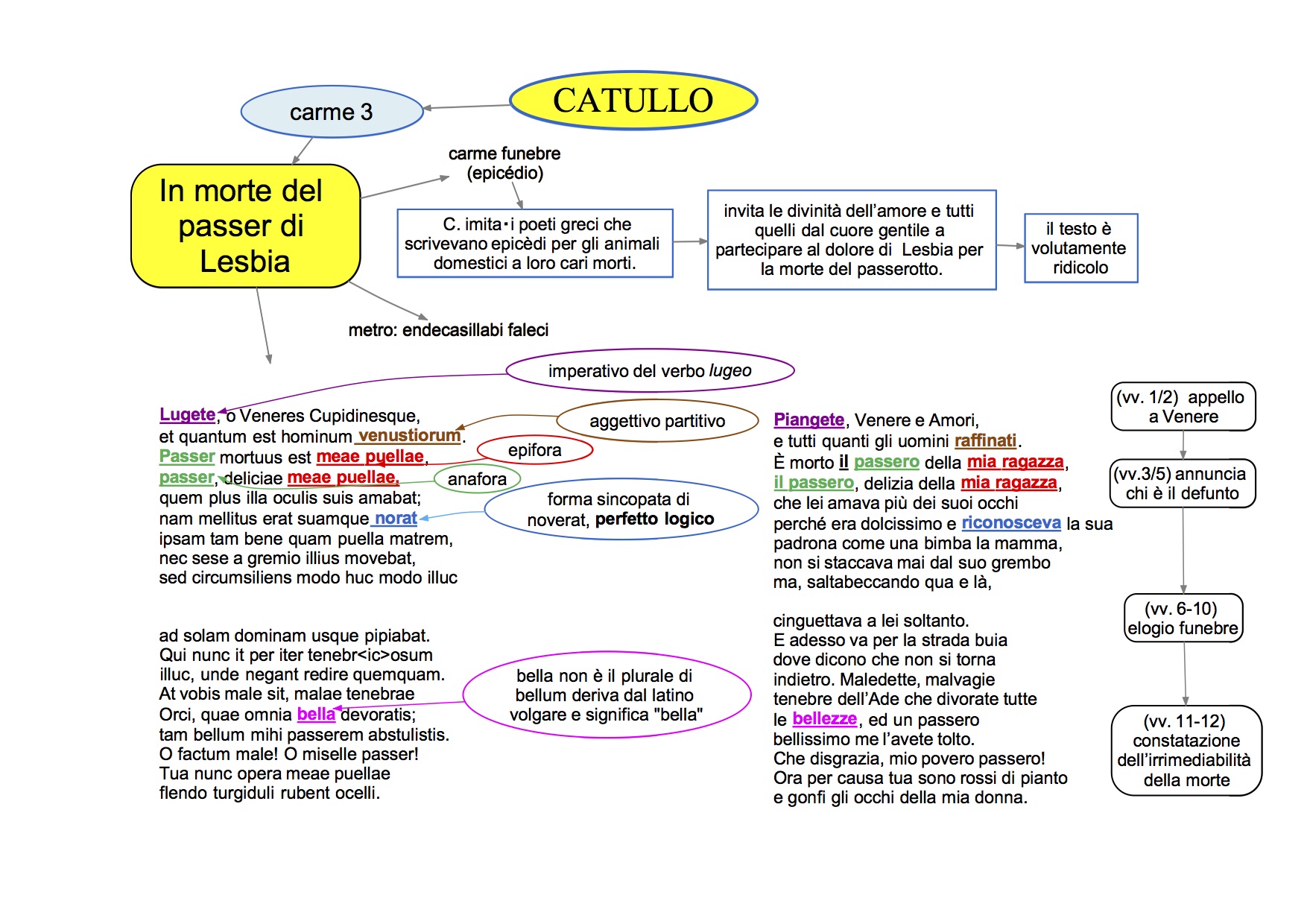 mappa concettuale Latino Catullo carme 3