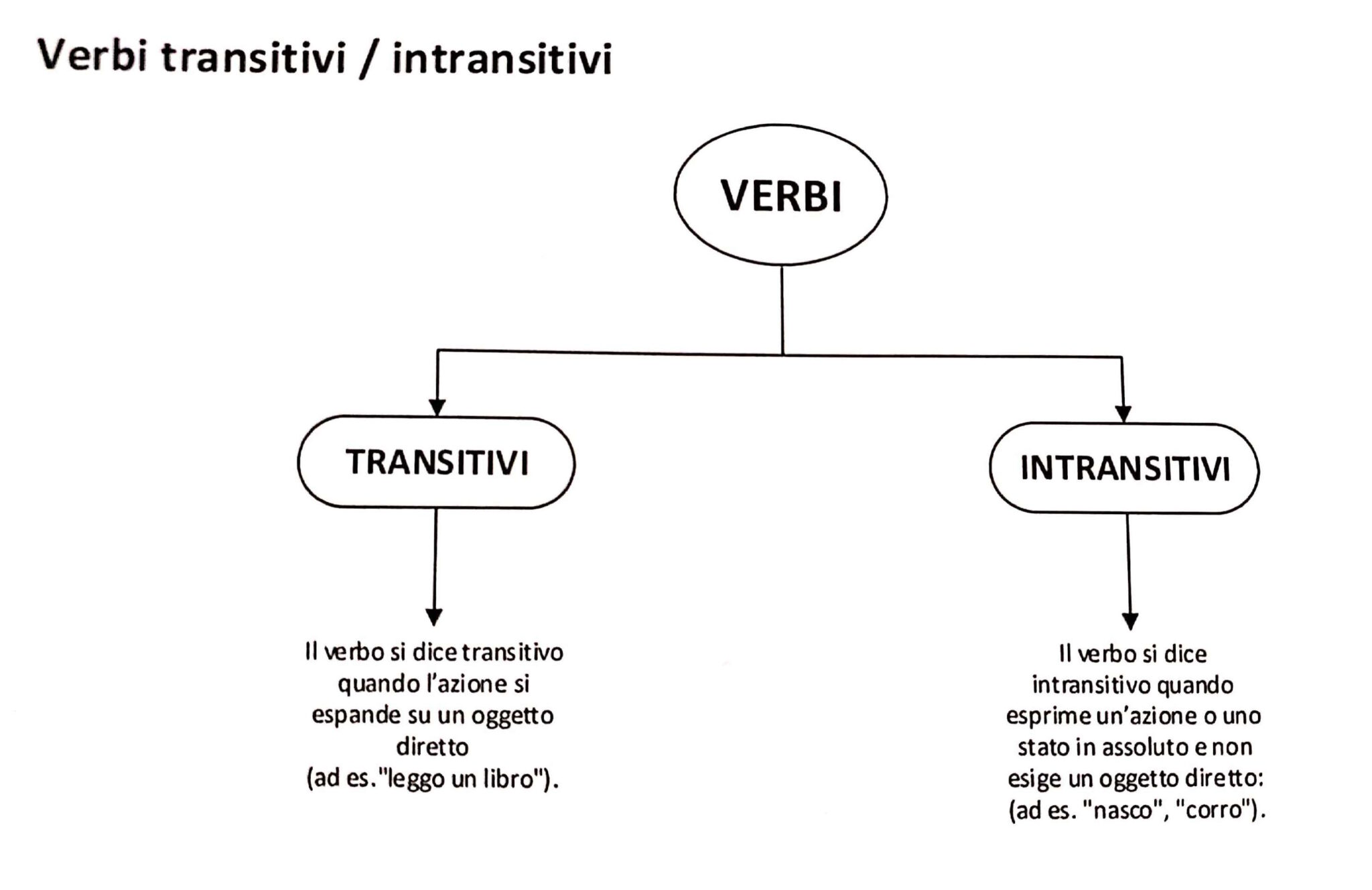 Diferencias entre verbos transitivos e intransitivos